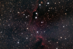 IC1396_Elephant_Trunk_Nebula_11-6-2022