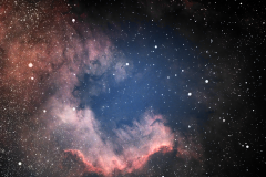 LDN935_Dark_Nebula_11-23-2023