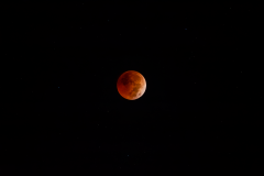 Lunar_Eclipse_11-8-2022